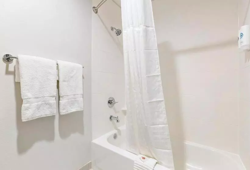 スタンダード４人部屋, Comfort Inn & Suites Houma