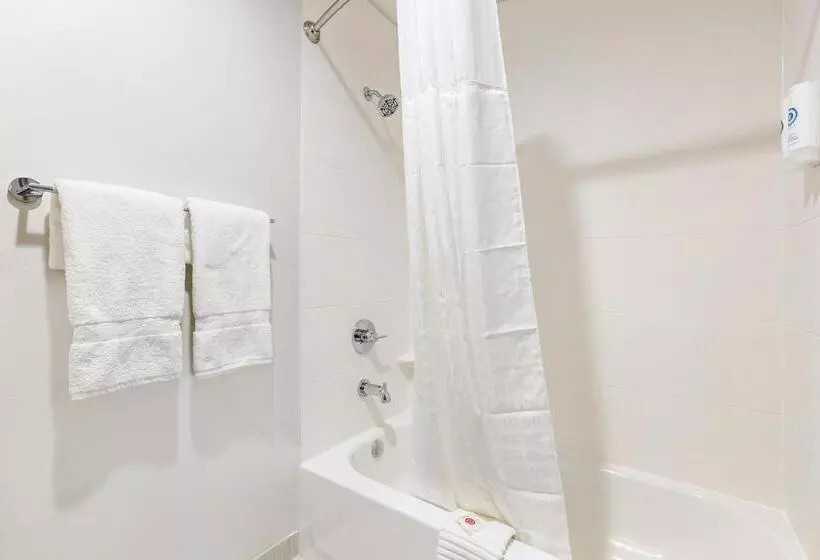 スタンダード４人部屋, Comfort Inn & Suites Houma