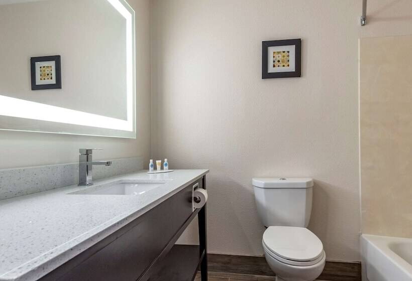 غرفه قياسيه سريرين مزدوجين, Comfort Inn & Suites Liverpool   Syracuse