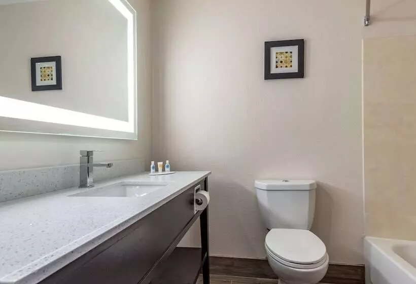 ２ダブルベッドのスタンダードルーム, Comfort Inn & Suites Liverpool   Syracuse