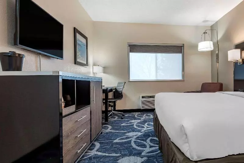 キングサイズベッドのスタンダードルーム, Comfort Inn & Suites Liverpool   Syracuse