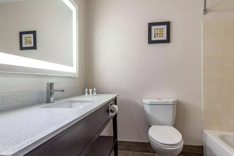 キングサイズベッドのスタンダードルーム, Comfort Inn & Suites Liverpool   Syracuse
