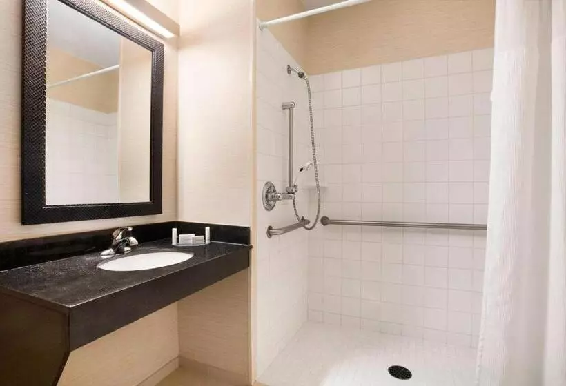 اتاق استاندارد با تخت بزرگ, Dubuque Inn & Suites