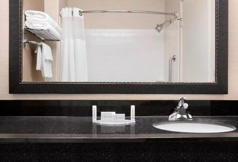 اتاق استاندارد با تخت بزرگ برای معلولان, Dubuque Inn & Suites