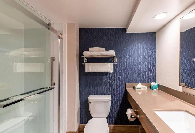 キングサイズベッドのスタンダードルーム, Fairfield Inn By Marriott Evansville West