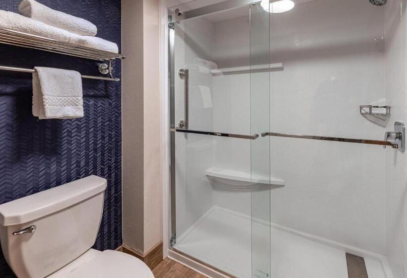 キングサイズベッドのスタンダードルーム, Fairfield Inn By Marriott Evansville West