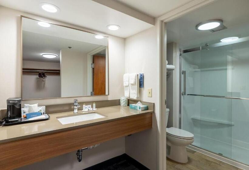 キングサイズベッドのスタンダードルーム, Fairfield Inn By Marriott Evansville West