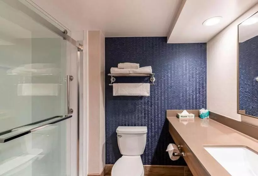 身障者適用キングサイズベッドルーム, Fairfield Inn By Marriott Evansville West