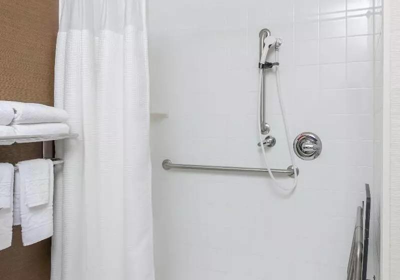 キングサイズベッドのスタンダードルーム, Fairfield Inn & Suites Cheyenne