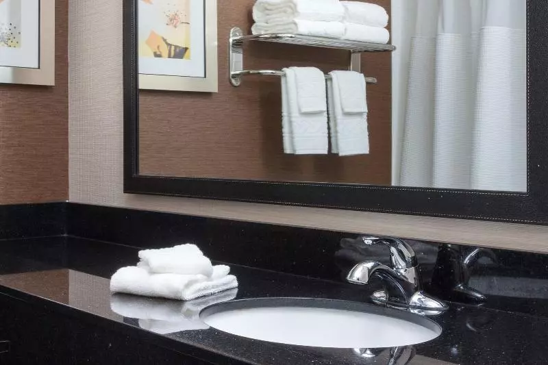 キングサイズベッドのスタンダードルーム, Fairfield Inn & Suites Cheyenne