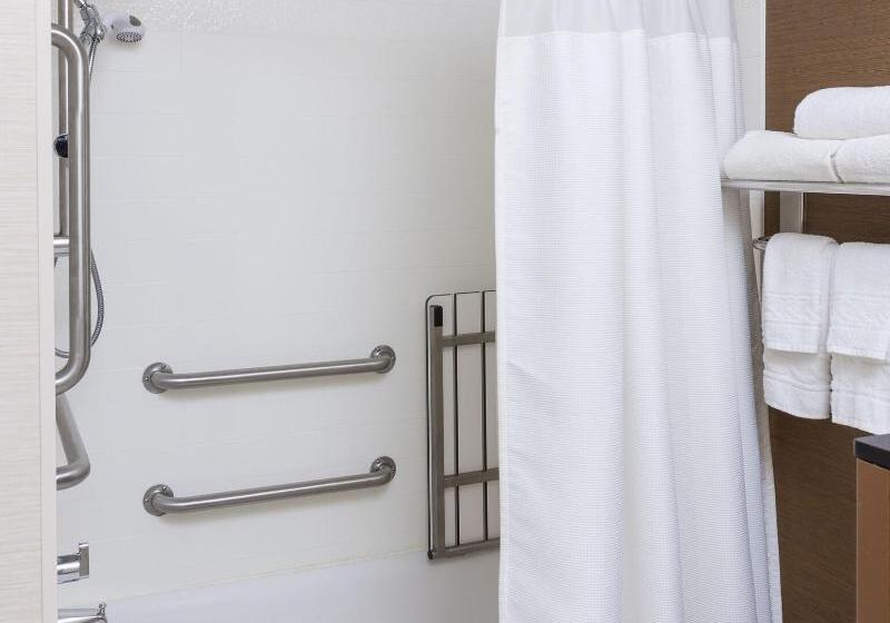 キングサイズベッドのスタンダードルーム, Fairfield Inn & Suites Cheyenne