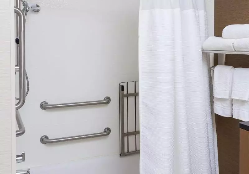 キングサイズベッドのスタンダードルーム, Fairfield Inn & Suites Cheyenne