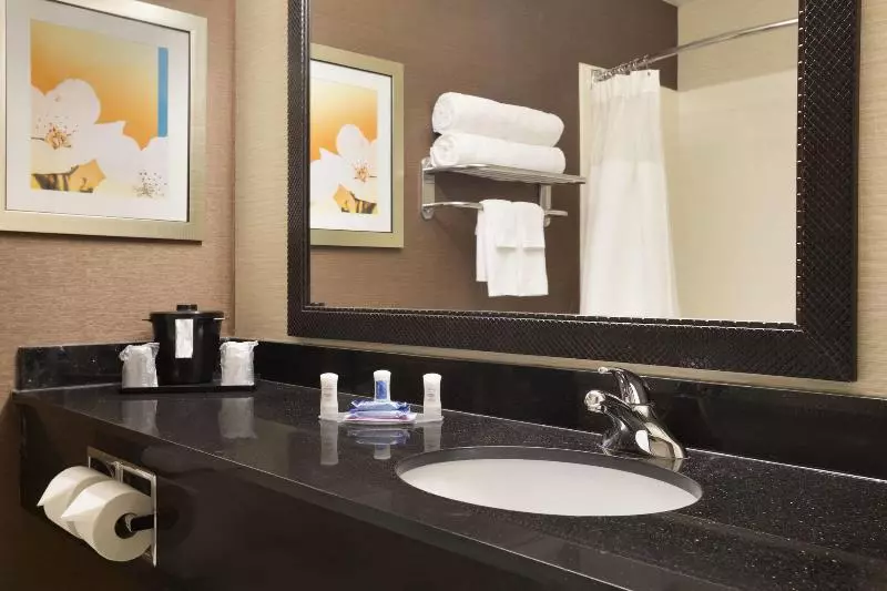 キングサイズベッドのスタンダードルーム, Fairfield Inn & Suites By Marriott Dallas Plano