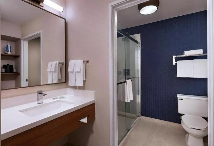 キングサイズベッドのスタンダードルーム, Fairfield Inn & Suites Kansas City Airport