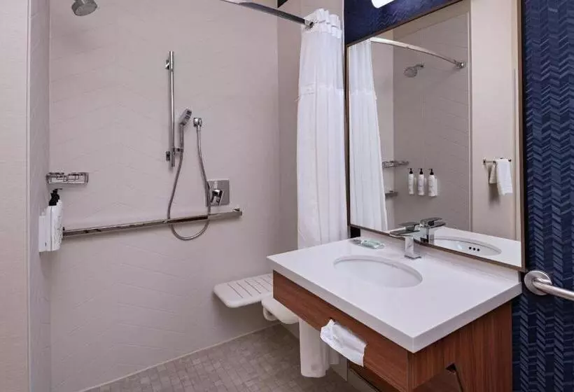 キングサイズベッドのスタンダードルーム, Fairfield Inn & Suites Kansas City Airport