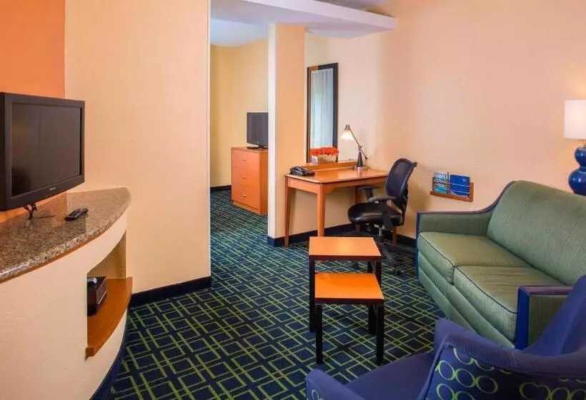 اتاق لوکس با تخت بزرگ, Fairfield Inn & Suites Lafayette I10