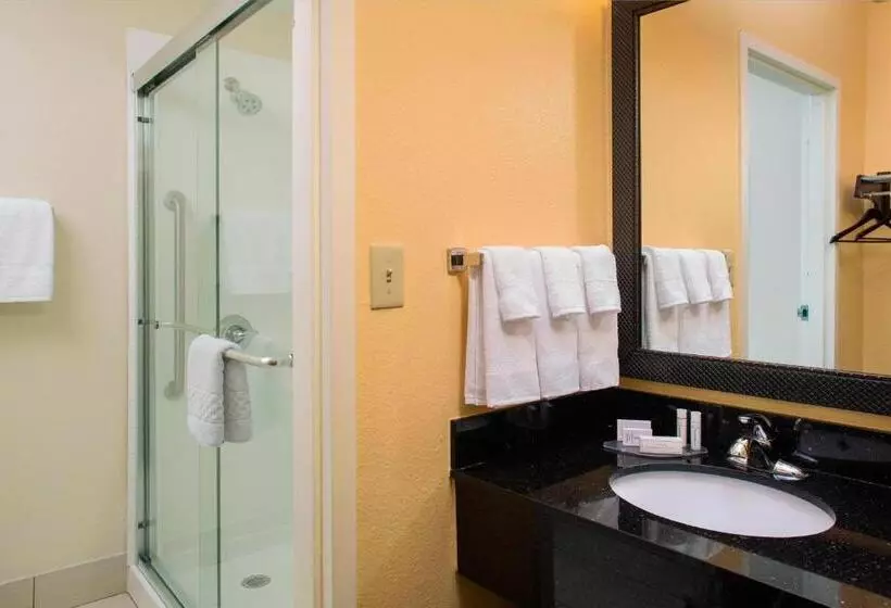 اتاق لوکس با تخت بزرگ, Fairfield Inn & Suites Lafayette I10