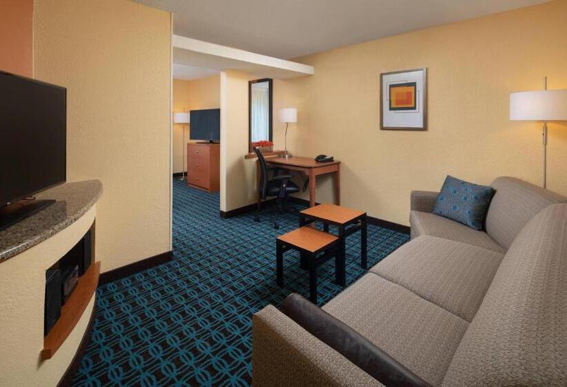 اتاق لوکس با تخت بزرگ, Fairfield Inn & Suites Lafayette I10