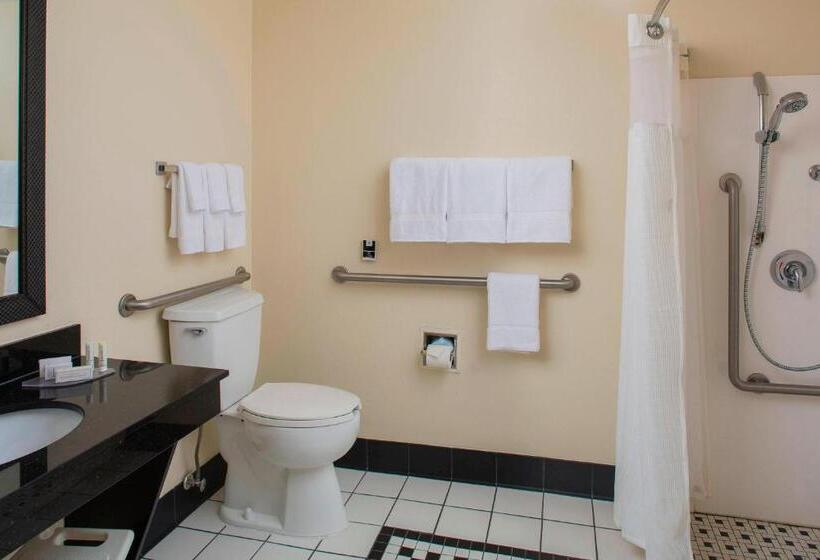 اتاق استاندارد با تخت بزرگ, Fairfield Inn & Suites Lafayette I10