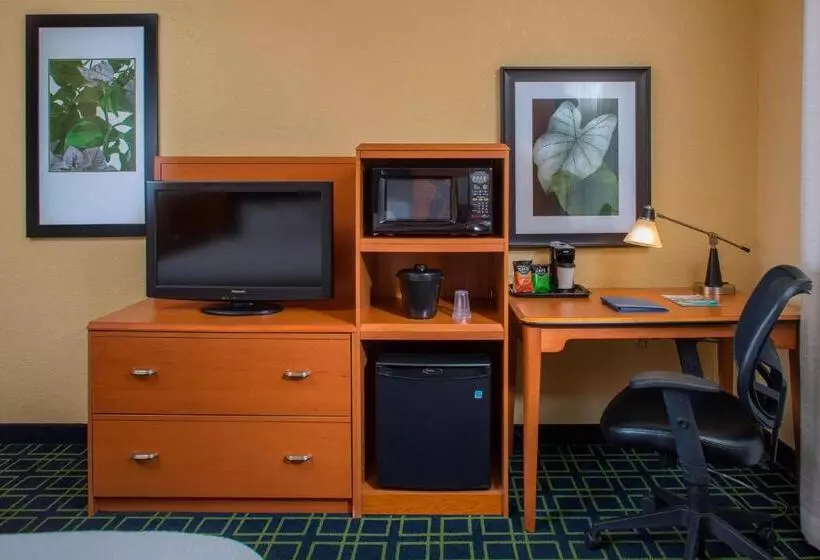 اتاق استاندارد با تخت بزرگ, Fairfield Inn & Suites Lafayette I10