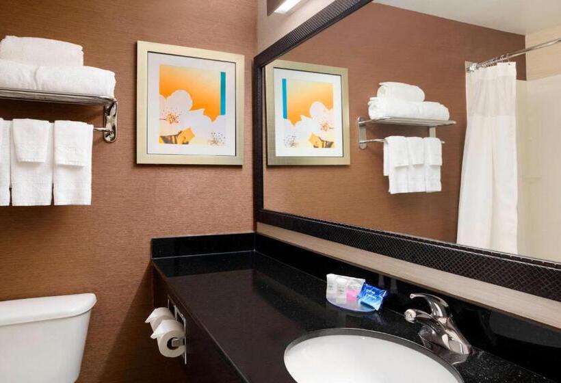 غرفة قياسية سرير كينج لذوى الإحتياجات الخاصة, Fairfield Inn & Suites Minneapolis St. Paul/roseville