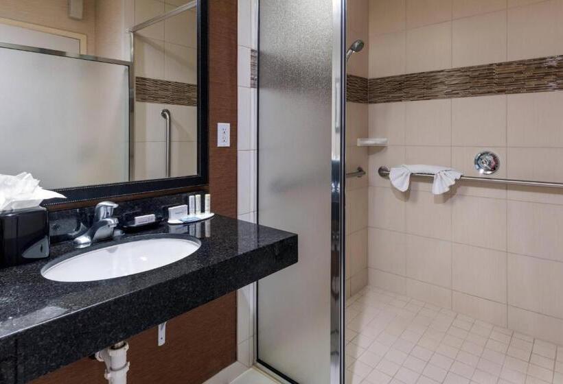 스탠다드 룸 킹사이즈 침대, Fairfield Inn Salt Lake City South