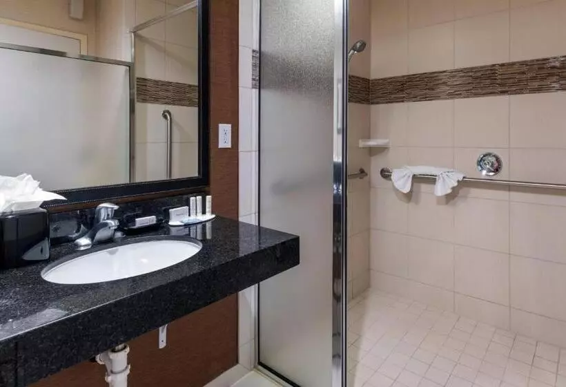 اتاق استاندارد با تخت بزرگ, Fairfield Inn Salt Lake City South