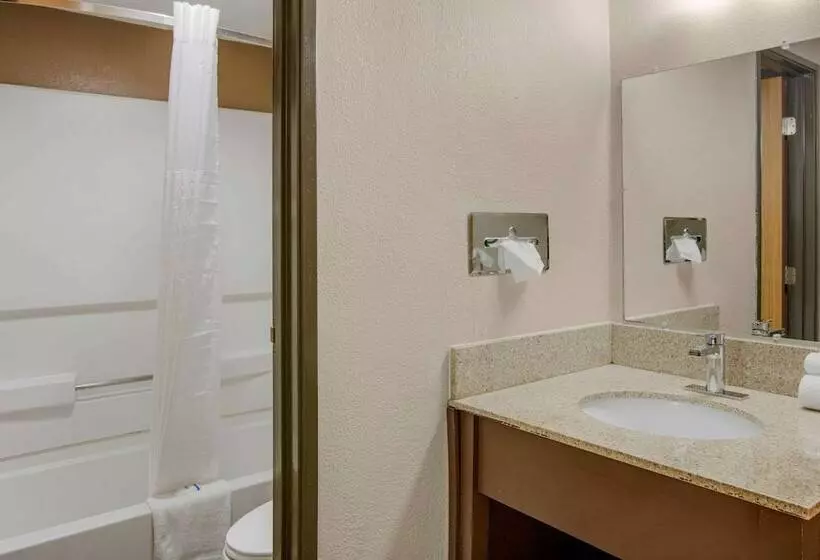اتاق استاندارد با 2 تخت دوبل, Rodeway Inn