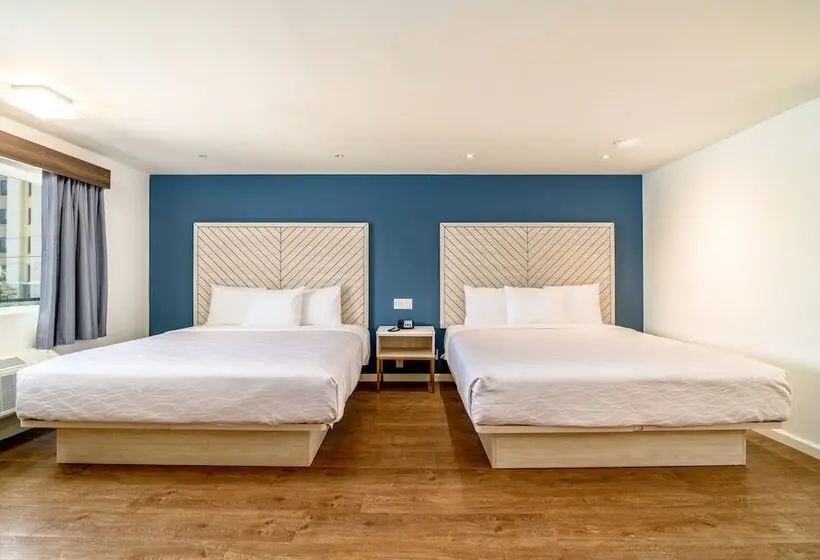 身障者適用スタンダードルーム, Trend Hotel At Lax Airport