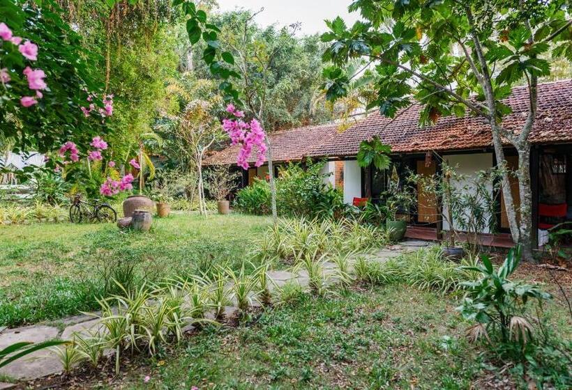 بانگلوی لوکس, An Nhien Retreat