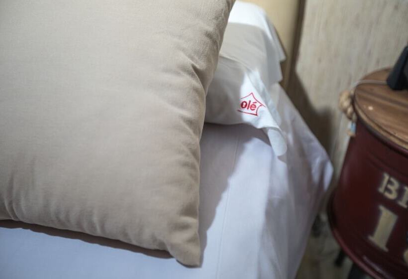 غرفة قياسية, Nómadas