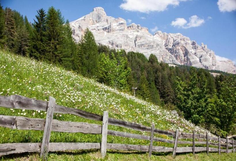 带2个卧室的公寓, Alpine Mountain Chalet