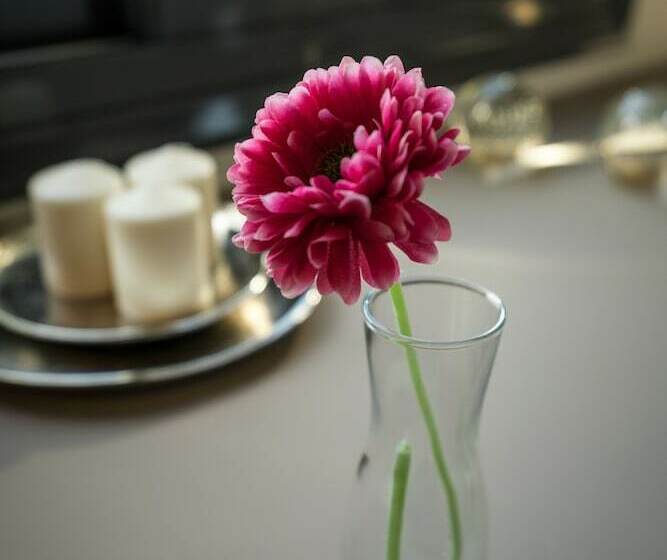 スイート, Urban Nest   Suites & Apartments