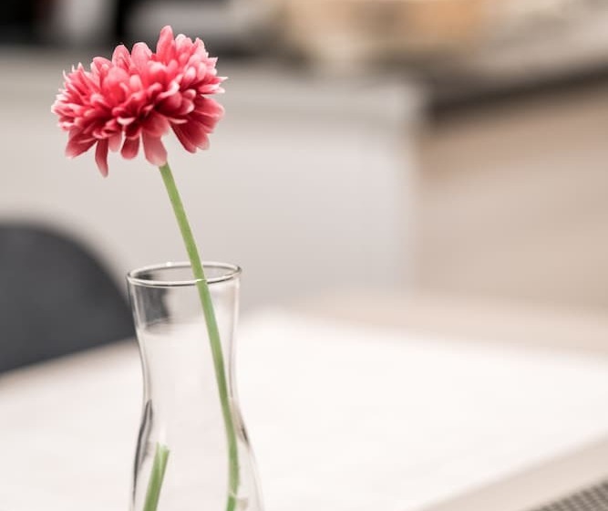 スイート, Urban Nest   Suites & Apartments