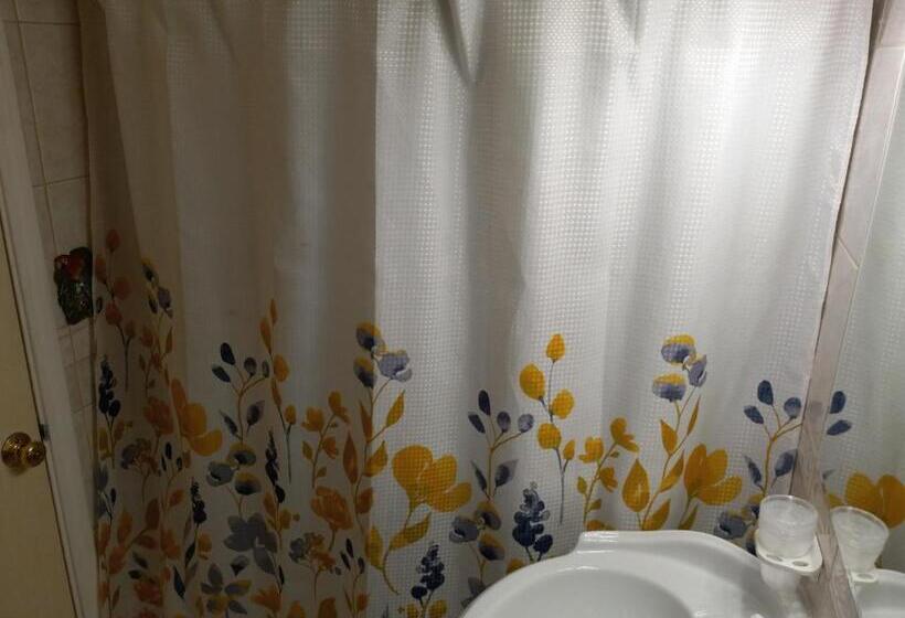 جناح ديلوكس, Flamingo Motel