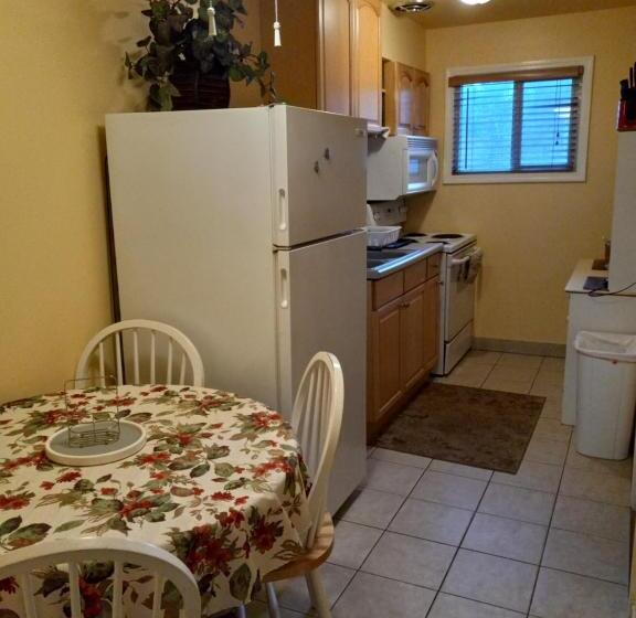 جناح ديلوكس, Flamingo Motel