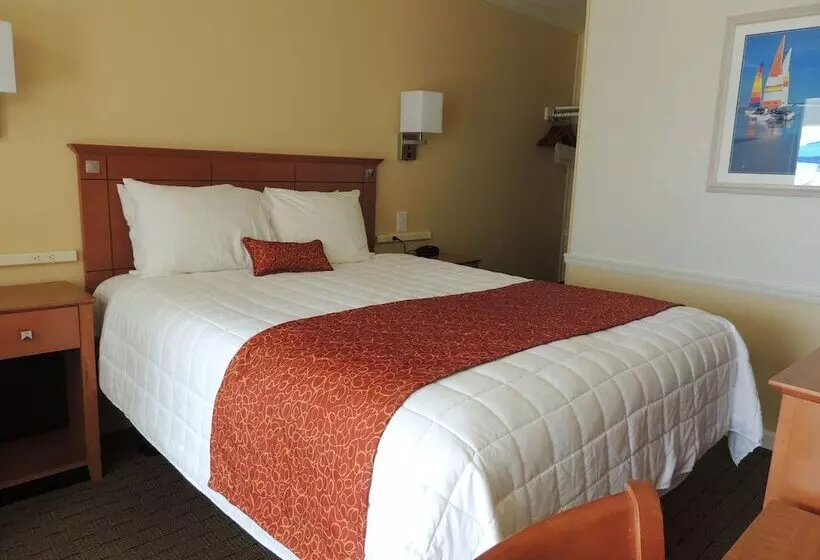 Standard Single Room Single Bed, Fleur De Lis Beach Motel