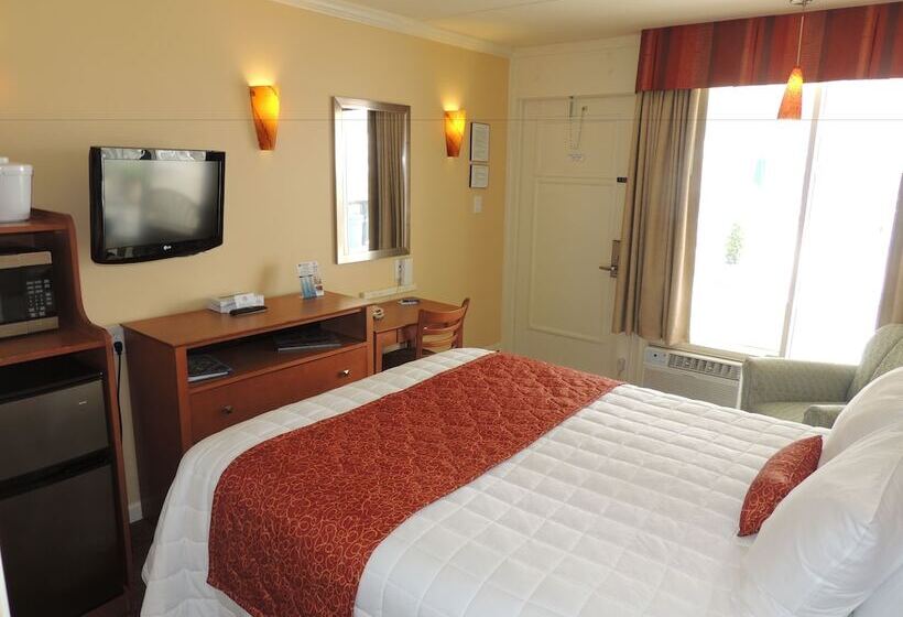 스탠다드 싱글 룸 싱글침대, Fleur De Lis Beach Motel