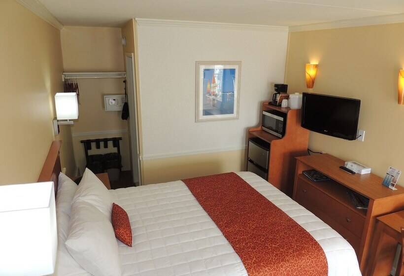 스탠다드 싱글 룸 싱글침대, Fleur De Lis Beach Motel