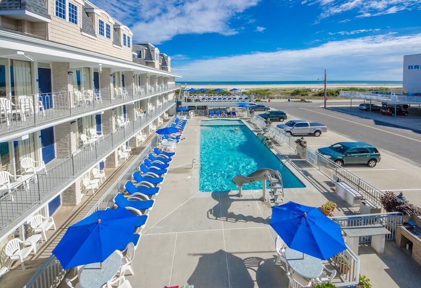 디럭스 스위트 바다 전망, Fleur De Lis Beach Motel