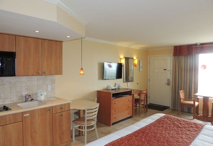 스탠다드 스튜디오 바다 전망, Fleur De Lis Beach Motel