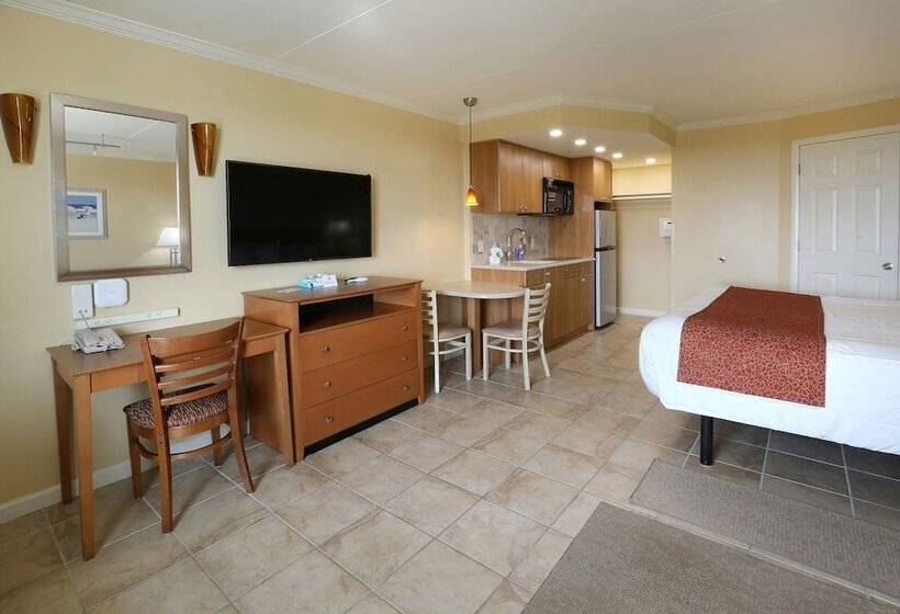 스탠다드 스튜디오 바다 전망, Fleur De Lis Beach Motel