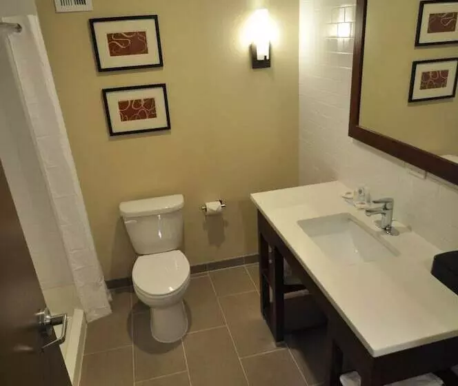 ２ダブルベッドのスタンダードルーム, Comfort Inn & Suites Aberdeen