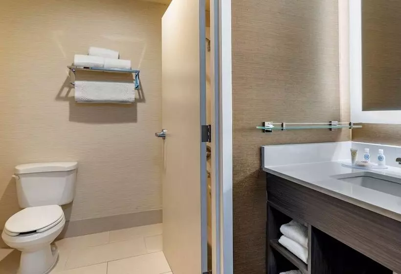 Standard-huone 2 Parivuodetta, Comfort Inn & Suites North Dallasaddison