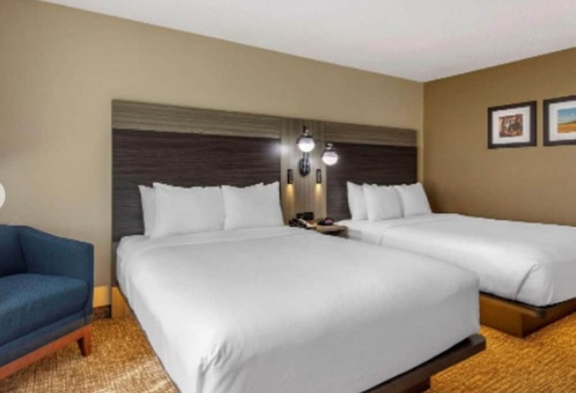 带2个双人床的标准工作室, Comfort Inn & Suites North Dallasaddison