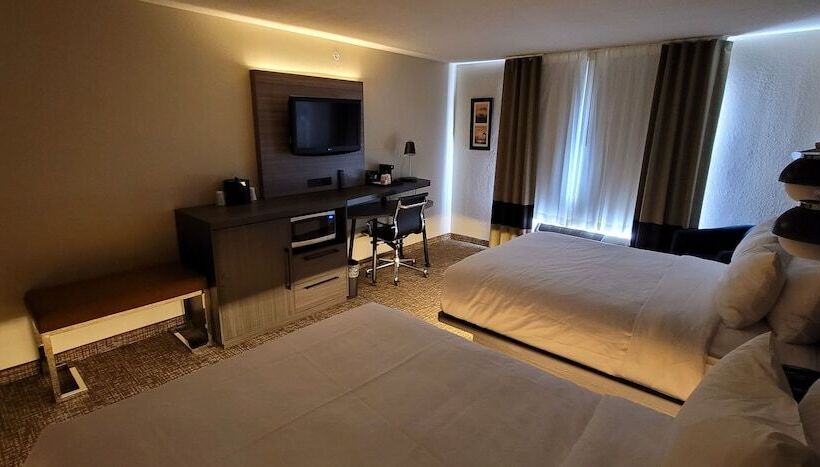 غرفه قياسيه سريرين مزدوجين, Comfort Inn & Suites North Dallasaddison