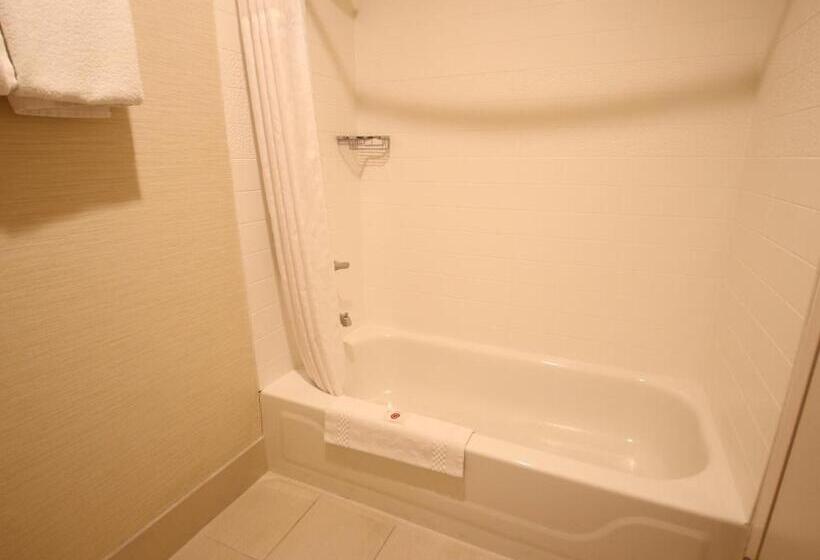 غرفه قياسيه سريرين مزدوجين, Comfort Inn & Suites North Dallasaddison