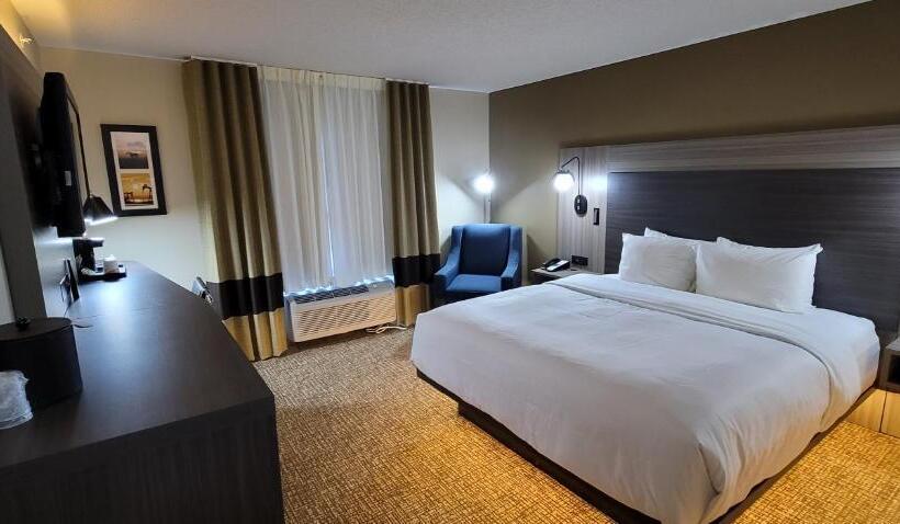 带大床的标准间, Comfort Inn & Suites North Dallasaddison