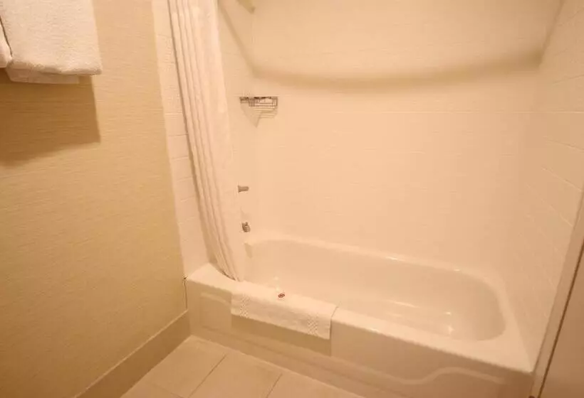 Standard-huone King-vuode, Comfort Inn & Suites North Dallasaddison