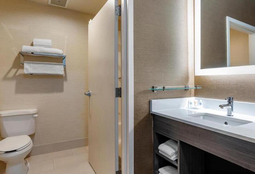 带大床的小型套房, Comfort Inn & Suites North Dallasaddison
